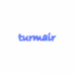Logo Turmair
